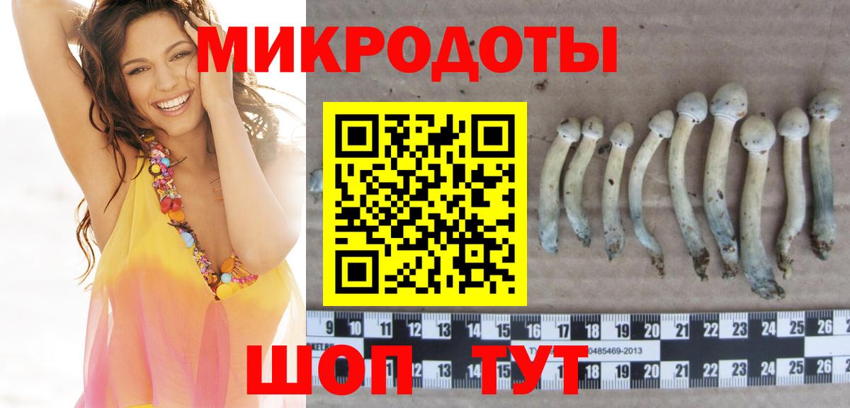 Кимовск  Псилоцибиновые грибы ЛСД  купить  цена  Вход с VPN  Псилоцибиновые грибы MAGIC MUSHROOMS 